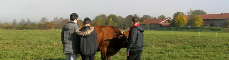 Bauernhof-Exkursion einer Schulklasse Header