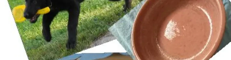 Wasser-Entkalkungsanlage für das Tierheim Header