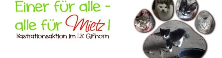 Kastrationen von Hof- und Streunerkatzen im Nachbarlandkreis Gifhorn Header