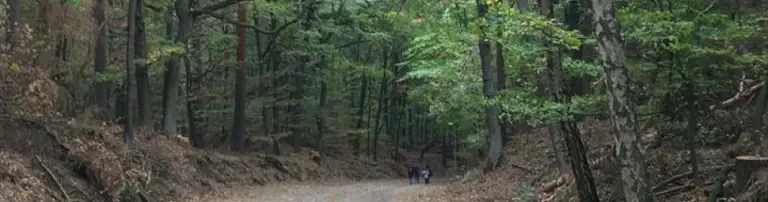 Wandern a la Turka Header