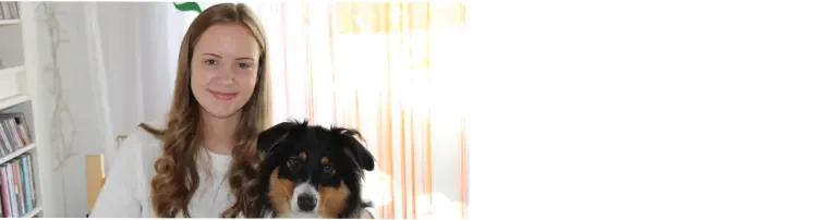 HundeHelfenHeilen-Stiftung Header
