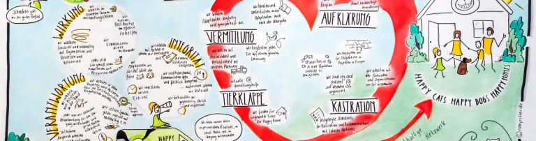 Kastrationsprojekt 2019 Header
