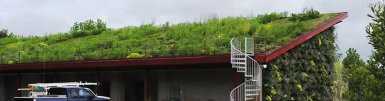Green Roof Header
