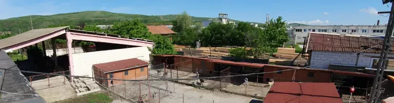 Sanierung der feuchten Lagerhallen zur Schaffung von Raum für die alten und kranken Hunde! Header