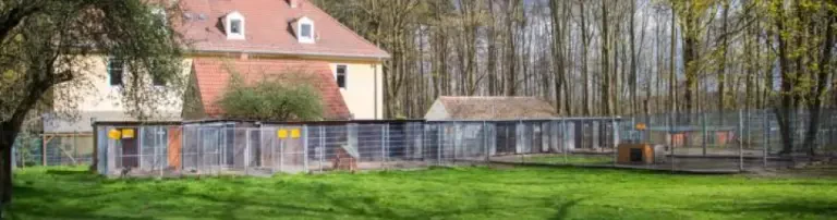 Tierpatenschaft Dyrektor Header