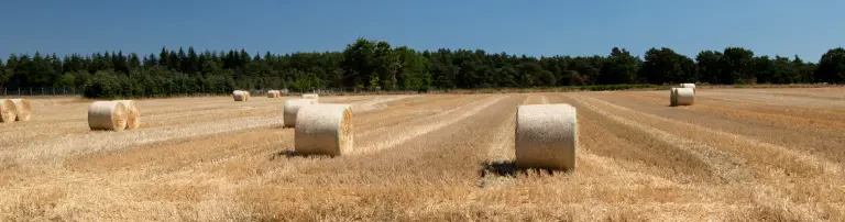 Gentechnik - Korrekte Kennzeichnung Header