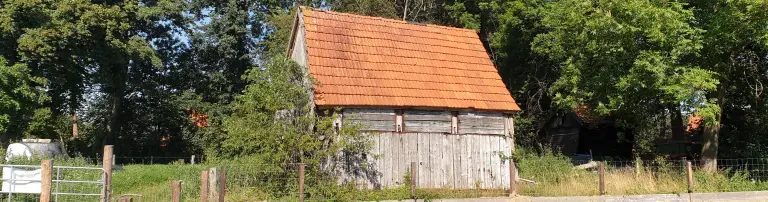 Umbau eines alten Stalles zum Backhaus Header