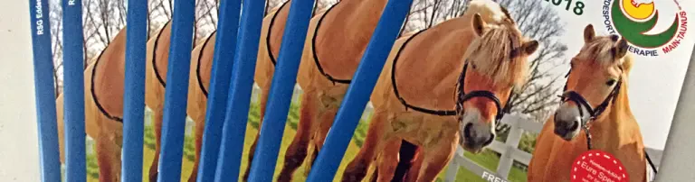 Druck eines neuen Vereins-Jahrbuchs Header