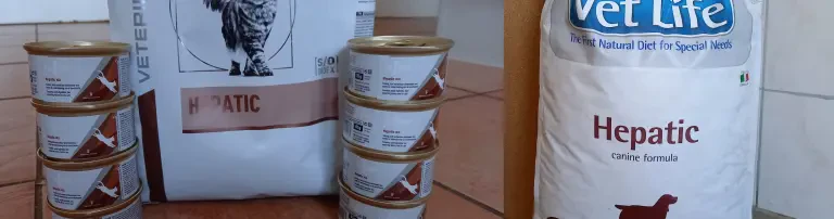 Spezialfutter für Hunde & Katzen Header