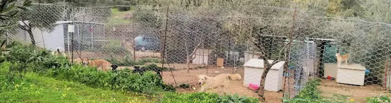 Futter für das rifugio " CASA DI MAX " Header