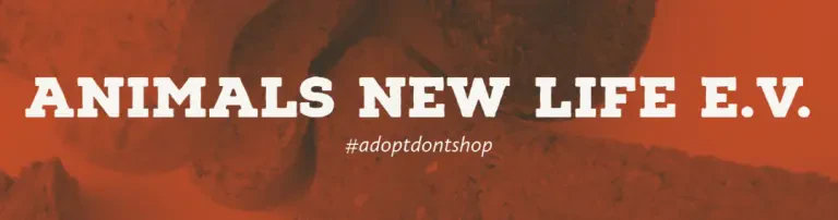 AdoptOne - SpayOne ! Kastrationsprogramm Header